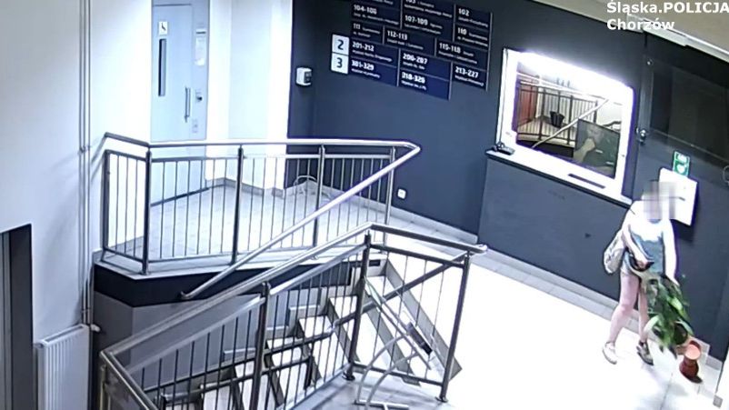 Dewastacja kwiatka na komendzie w Chorzowie