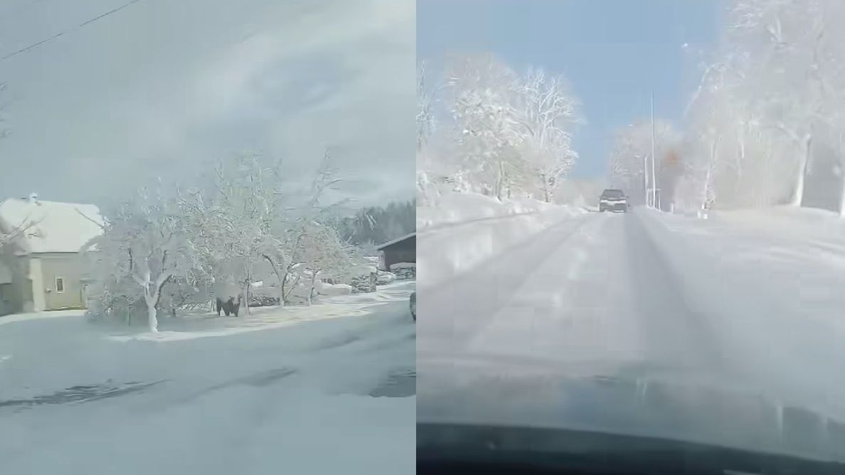 Zima w Polsce trwa w najlepsze!