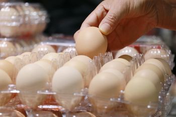 Sanepid ostrzega przed zakupami na bazarze w upał. Te produkty stoją na słońcu