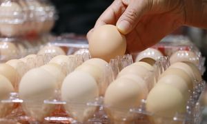 Sanepid ostrzega przed zakupami na bazarze w upał. Te produkty stoją na słońcu