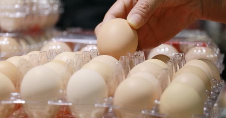 Sanepid ostrzega przed zakupami na bazarze w upał. Te produkty stoją na słońcu