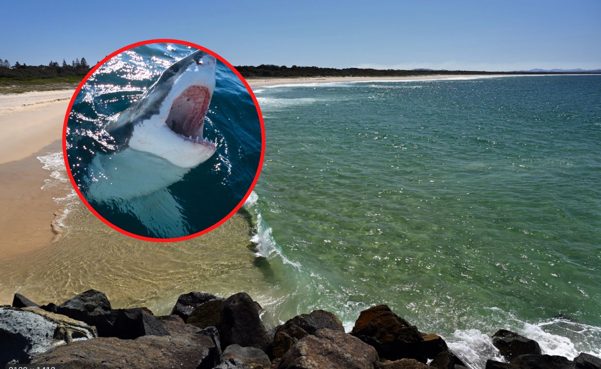 Shark attack in Australia. Surfer feared dead