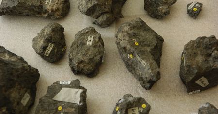 Przełomowe odkrycie polskich i szwedzkich naukowców. Tak ewoluowały dinozaury