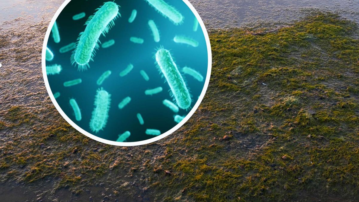 Wybierając sprawdzone miejsca do kąpieli możemy uniknąć poważnych problemów ze zdrowiem