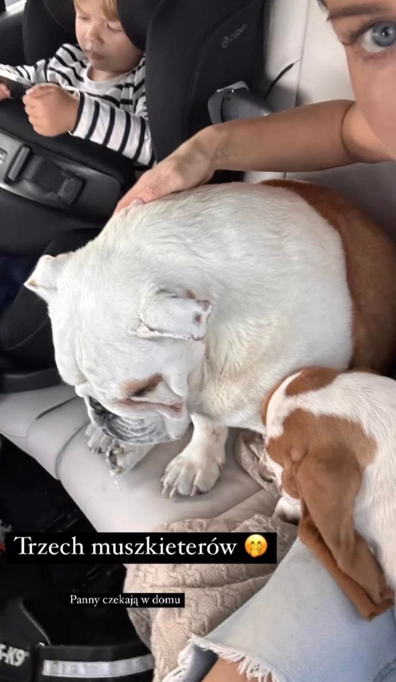 Nowy członek Gangu Majdana - William