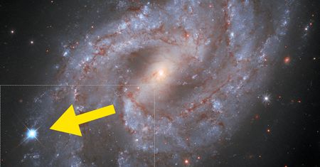 Teleskop Hubble’a ujął supernową jaśniejszą niż wszystkie gwiazdy w galaktyce