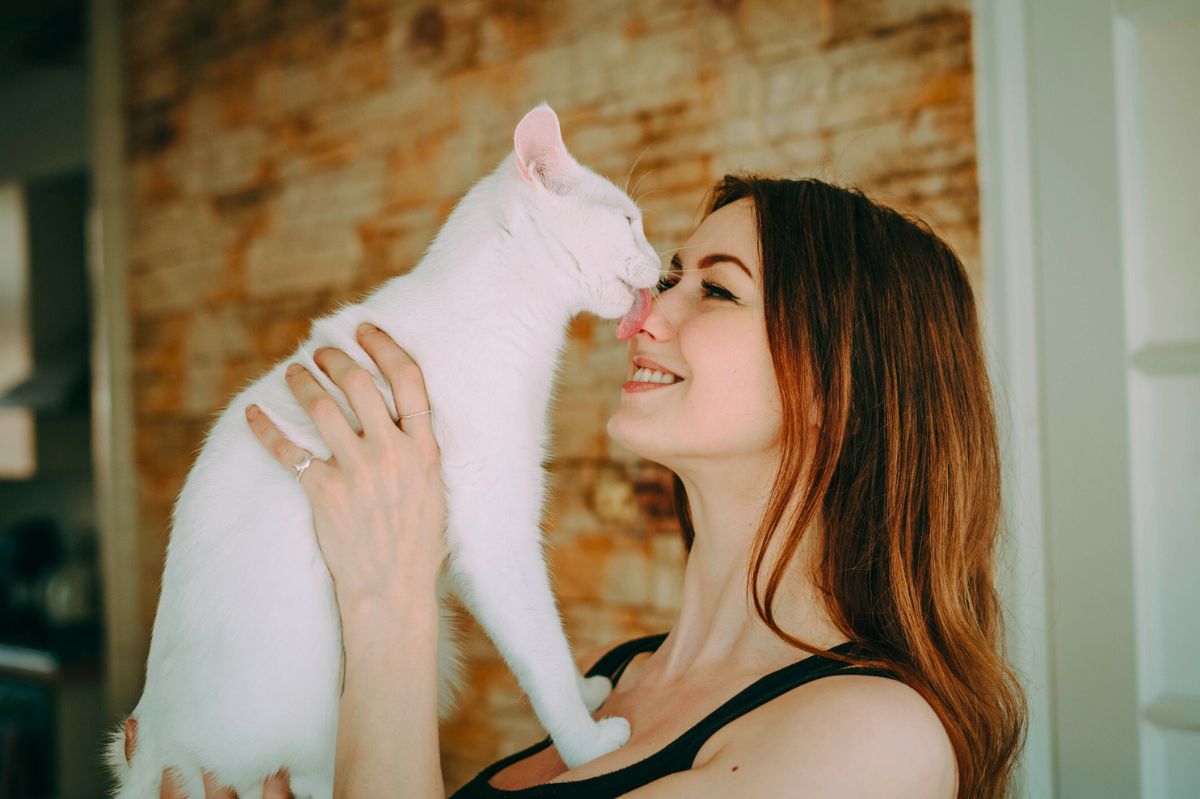 The cat is licking the woman on her nose.