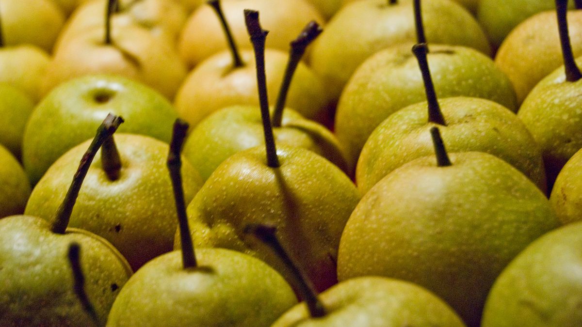 Surowe gruszki azjatyckie