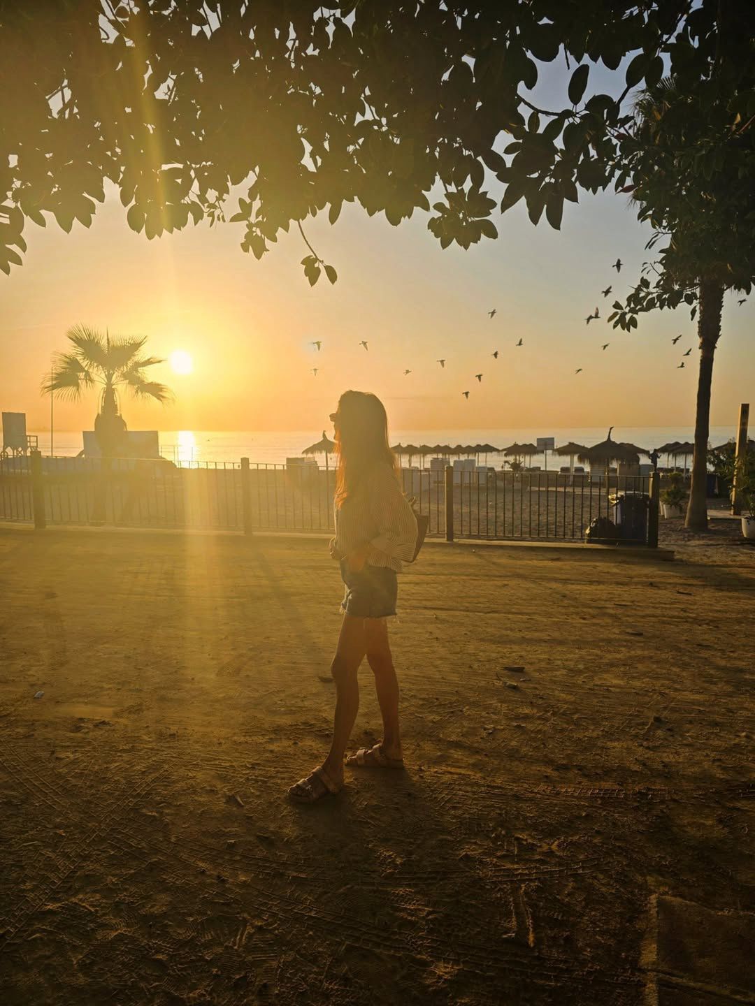 Agnieszka Radwańska