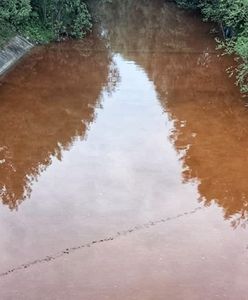 Zagadkowe zjawisko pod Babią Górą. Wygląda jak krew