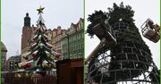 Wrocław: W tym roku dwie choinki we wrocławskim Rynku. Niektórzy dali się nabrać