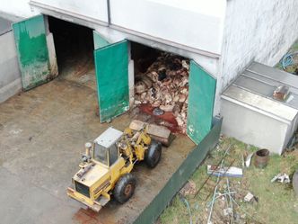 Ptasia grypa i ASF kosztują budżet setki milionów. Pieniądze skończyły się w maju