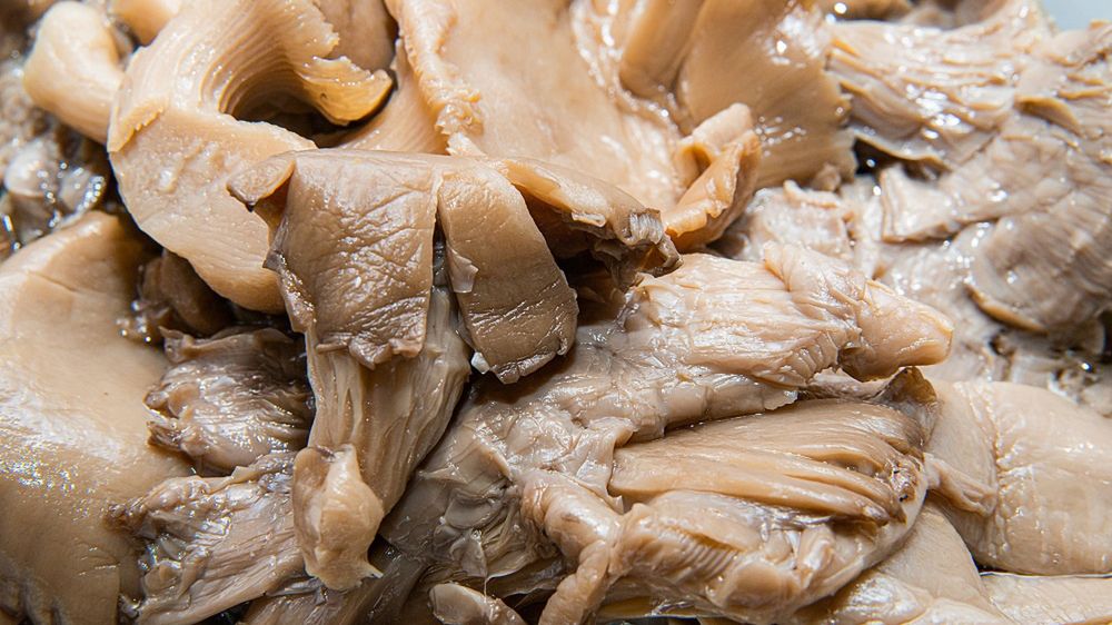 Dlaczego warto jeść boczniaki?