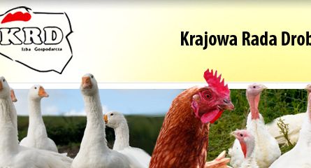 KRD szuka nowej agencji, która zajmie się ochroną wizerunku branży drobiarskiej