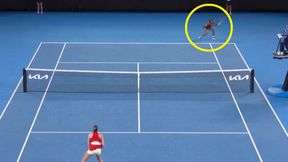 Rywalka Aryny Sabalenki bezradna. Wszyscy to widzieli [WIDEO]