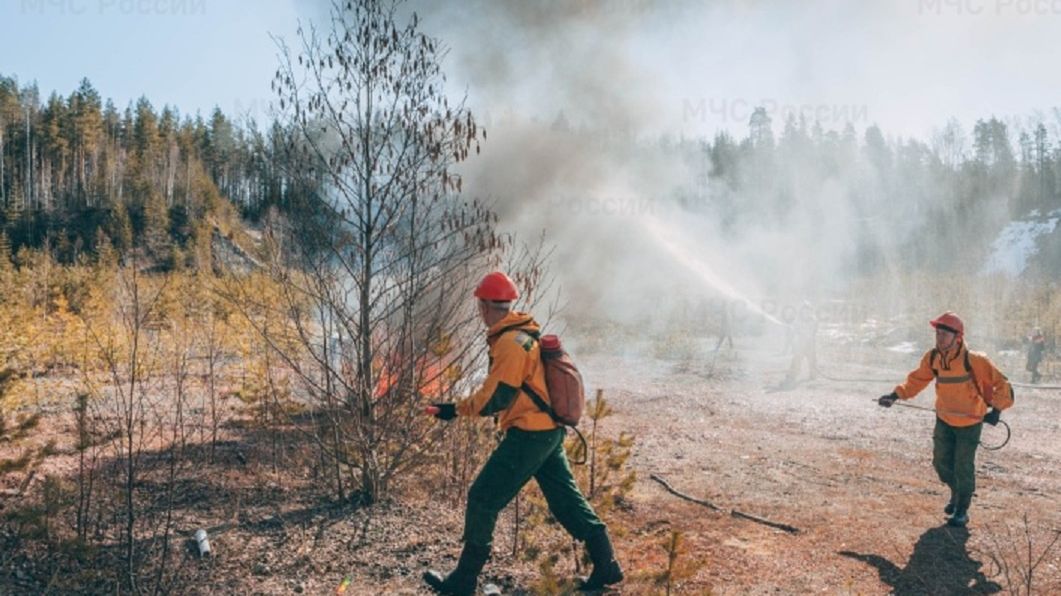 Płoną lasy w Karelii