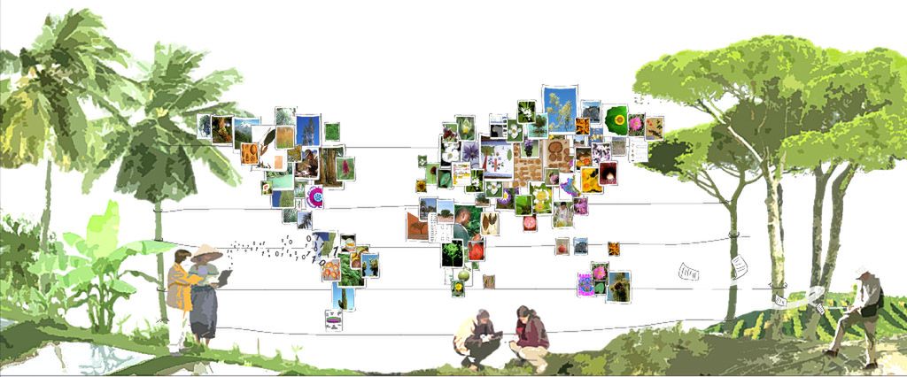 Co to za kwiatek? Pl@ntNet podpowie, czyli Shazam dla roślin
