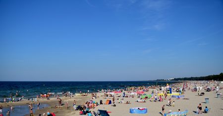 Tutaj sprawdzisz, czy można się kąpać. Informacje o sinicach na bieżąco
