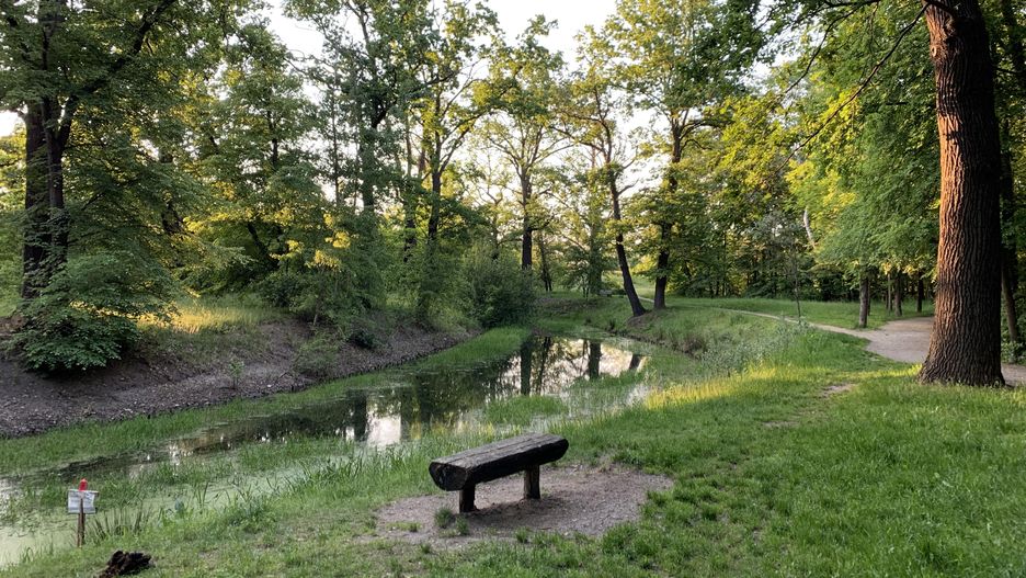 Wrocław. Pogoda. 14 lipca - wyż nad Dolnym Śląskiem. Słonecznie, ale bez upałów