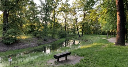 Wrocław. Pogoda. 14 lipca - wyż nad Dolnym Śląskiem. Słonecznie, ale bez upałów