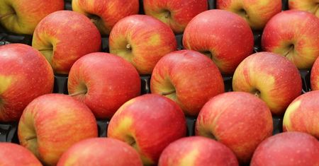 VAT za jabłka. Sadownicy nie chcą płacić VAT od owoców wycofanych z rynku