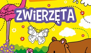 Naklejam, koloruję, rozwiązuję. Zwierzęta