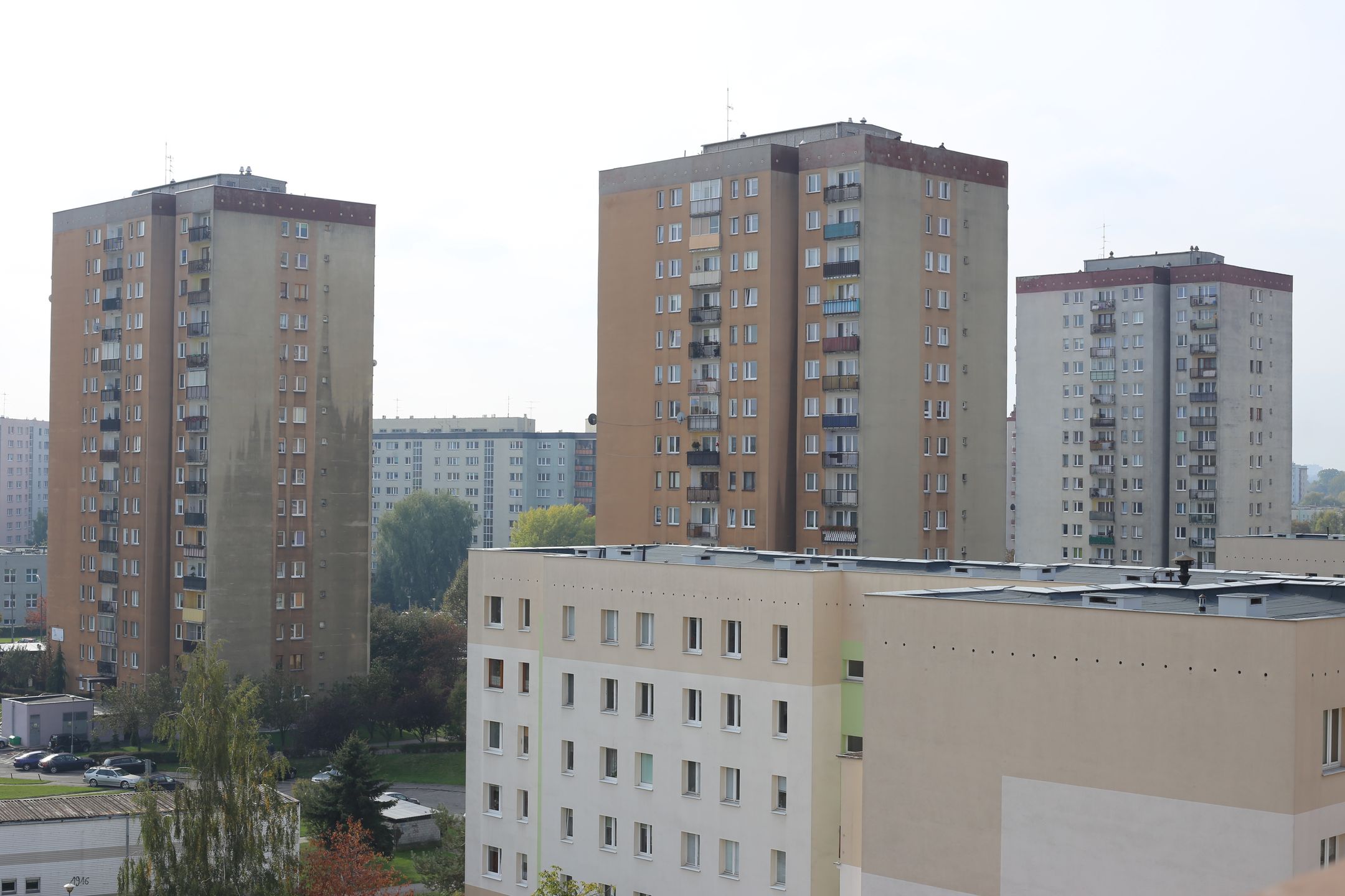 Canon EF 50 mm f/1.8 STM - niedroga przepustka do poważnej fotografii [recenzja] 68
