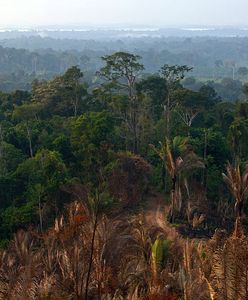 Pilot rozbił się w Amazonii. Przeżył w lesie 36 dni