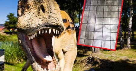 Wycieczka jak z horroru. Przedszkolaki płakały, a nauczycielka się śmiała