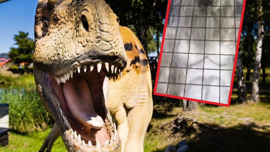 Przerażająca wycieczka. Przedszkolaki płakały, a nauczycielka się śmiała