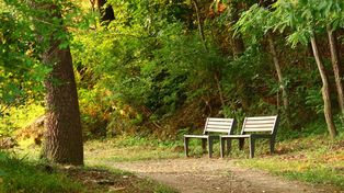 To jeden z najpiękniejszych parków na Śląsku. Tuż obok znajduje się pałac i malowniczy zalew. To raj dla wędkarzy