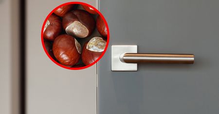 Połóż pod drzwiami pokrojone kasztany. Uporczywy problem zniknie w mig