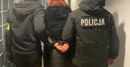 Wchodziła do mieszkań Polaków. Mówiła, że jest z ZUS