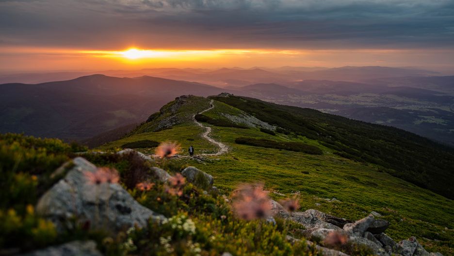 góra, krajobraz, niebo, charakter, sundown, wschody, chmura, górka, poranek, podróż, bory, panorama, dolina, morski, brzask, drzew, lato