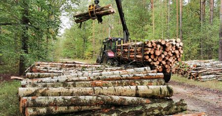 Lasy Państwowe ogłosiły ważną decyzję. Takich terenów będzie więcej