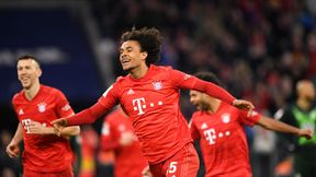 Bundesliga. Joshua Zirkzee doceniony przez Niemców. "Bayern nie potrzebuje kopii Roberta Lewandowskiego"