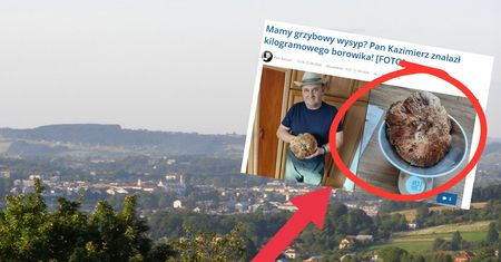 Znalazł go w gorlickim lesie. Nie do wiary, ile ważył grzyb-gigant