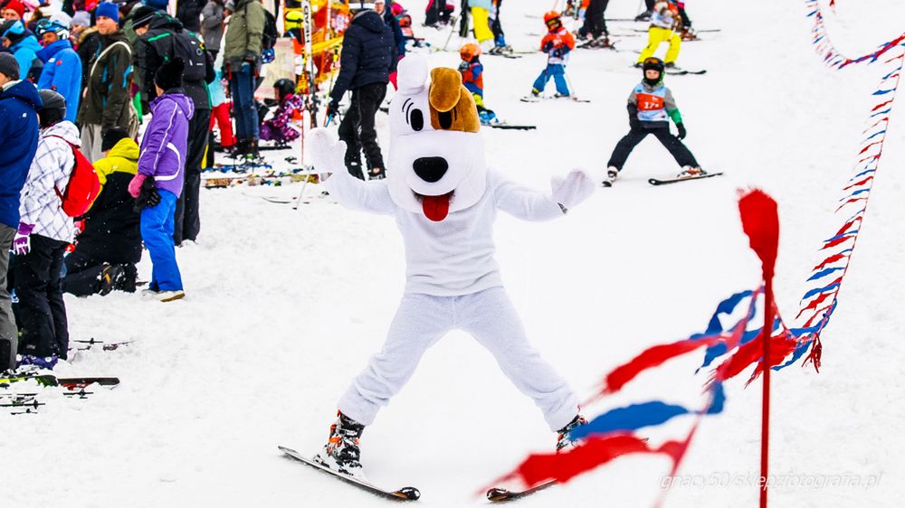 Reksio, oficjalna maskotka narciarskich zawodów dla dzieci
