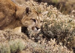 BBC Earth Dziewicze zakątki Ziemi