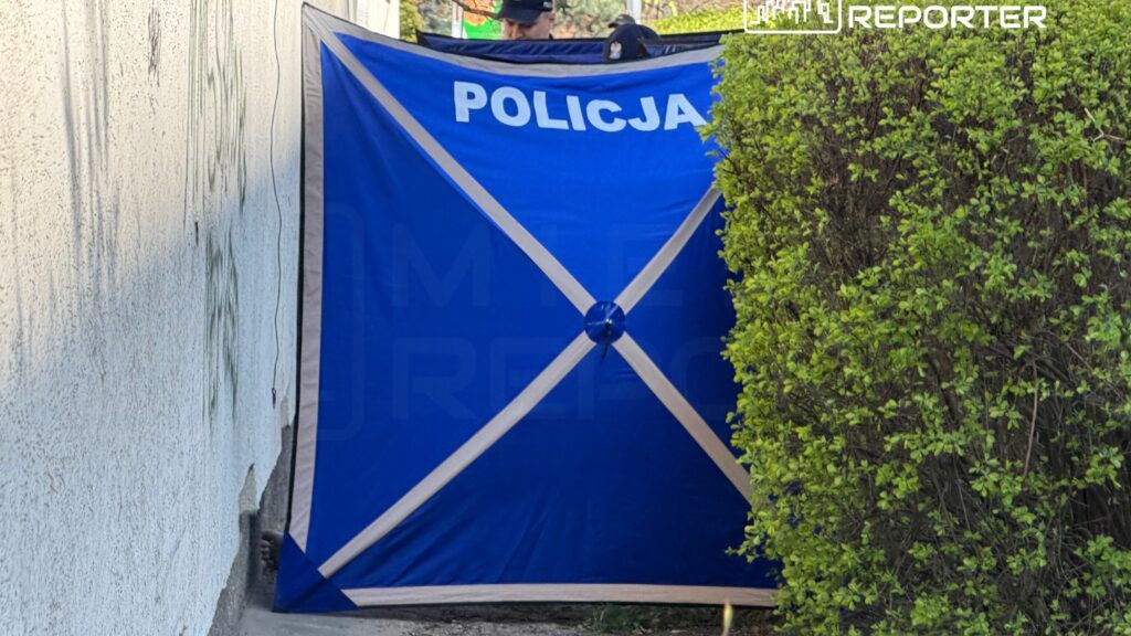 Policjanci ustawiają niebieską płachtę ochronną przy ścianie budynku, otoczoną zielonymi krzewami.