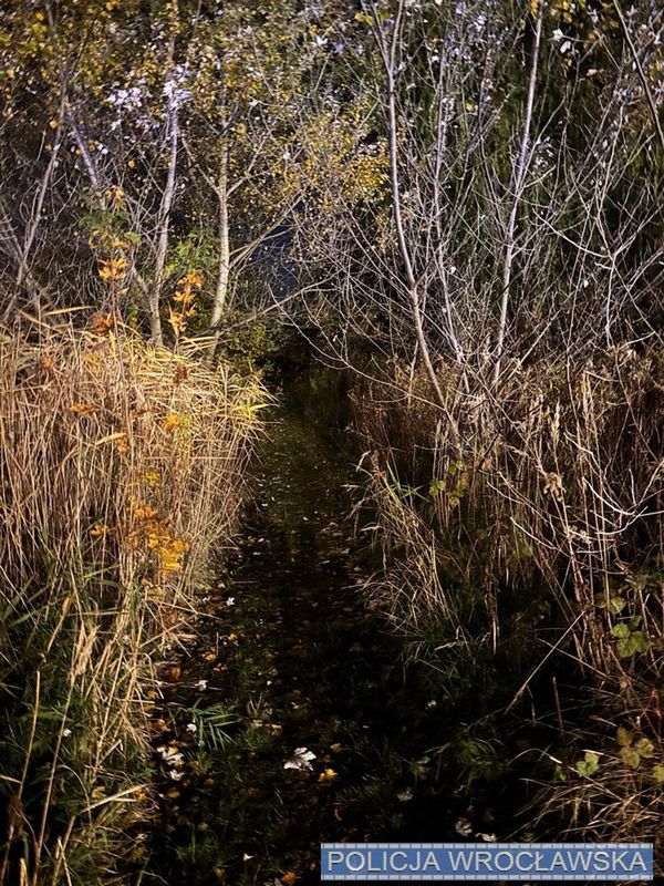71-latka znaleziono w zaroślach