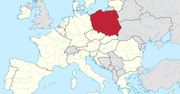Kto w Europie kupuje najwięcej podróbek? Trzy kraje w ścisłej czołówce