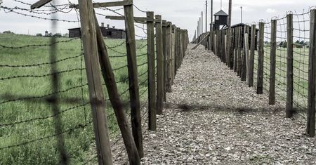 14 czerwca Narodowy Dzień Pamięci Ofiar Niemieckich Nazistowskich Obozów Koncentracyjnych i Obozów Zagłady