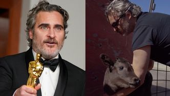 Joaquin Phoenix uratował krowę i cielę przed niechybną ŚMIERCIĄ W RZEŹNI dzień po odebraniu Oscara