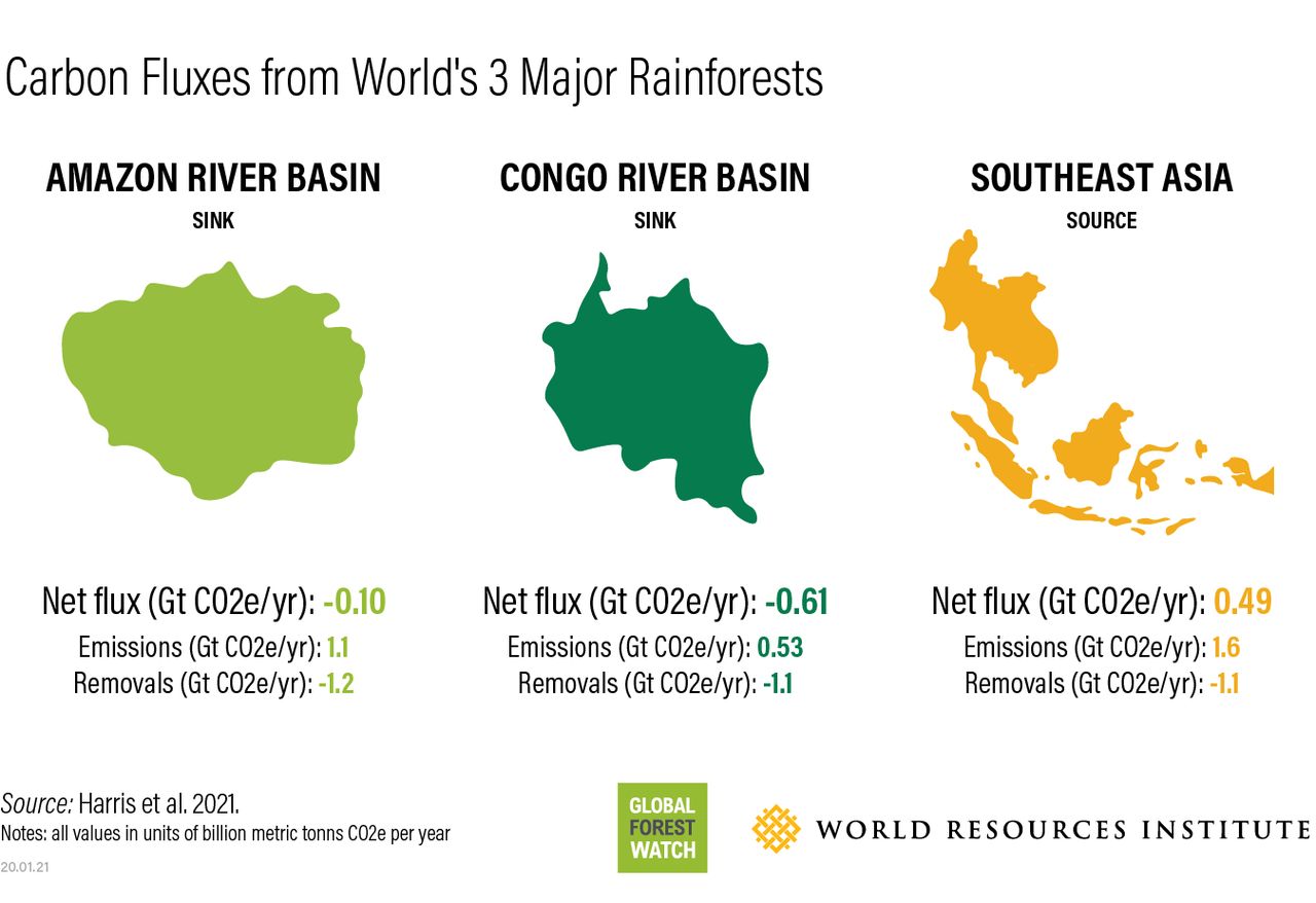 Dorzecze rzeki Amazonki, dorzecze rzeki Kongo o Południowowschodnia Azja. Strumień netto rocznego ekwiwalentu dwutlenku węgla w gigatonach (emisje do atmosfery i usuwanie z atmosfery CO2) (Nancy L. Harris i inni, 2021)