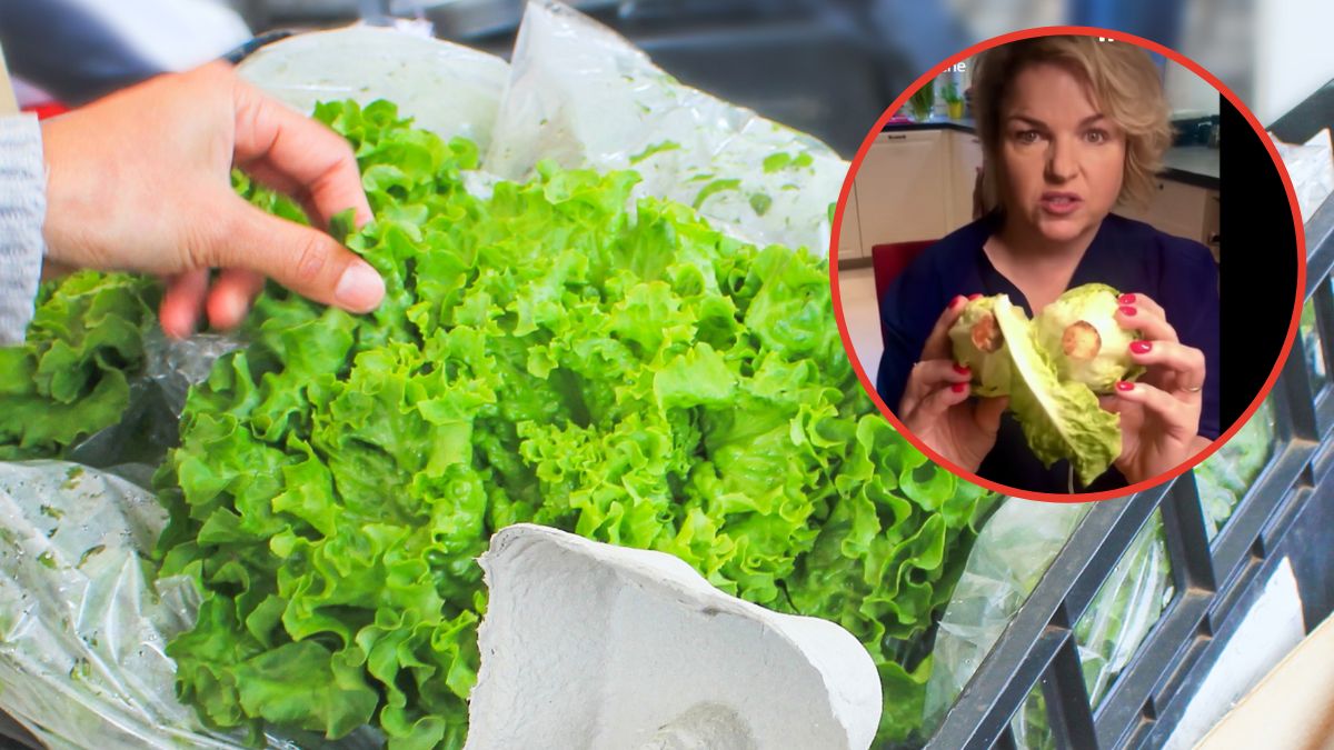 Katarzyna Bosacka pokazała, jak wybierać najlepszą sałatę