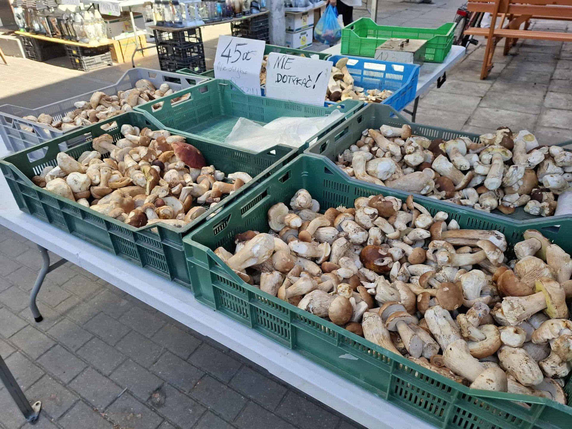 Grzyby na rynkach nie powalają swą jakością, ceny w tej sytuacji tez nie są najwyższe. Mimo to kupujących jest niewielu.
