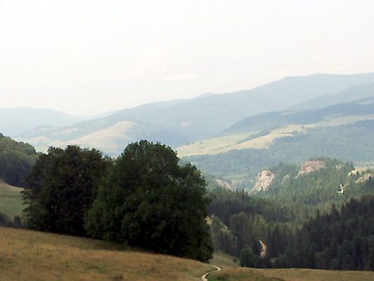 Obraz