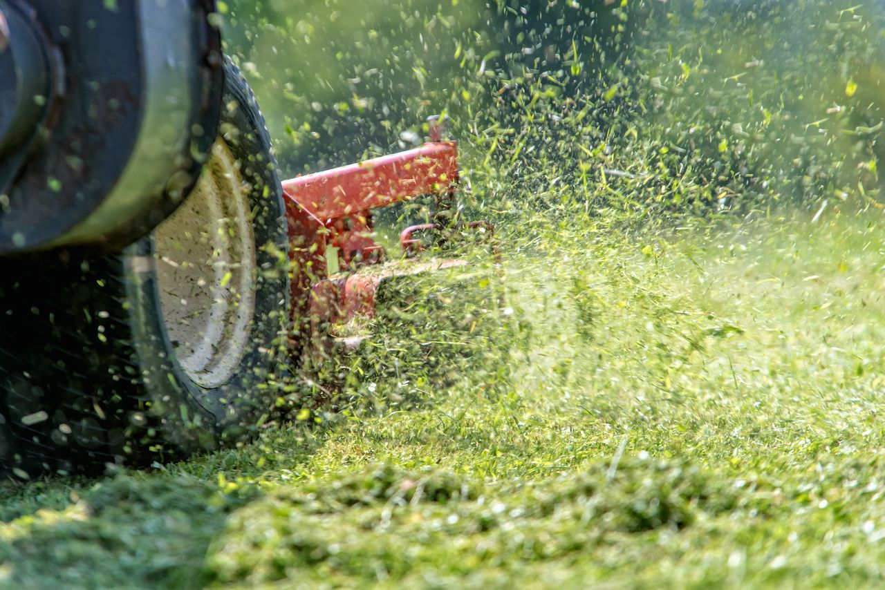 Sekret idealnego trawnika leży nie tylko w podlewaniu. Oto arsenał każdego ogrodnika