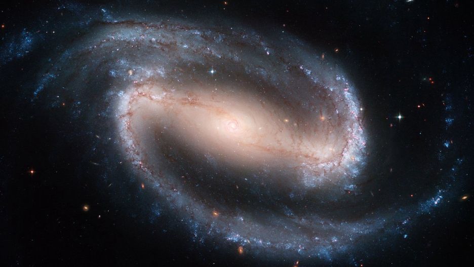 Wielki Obłok Magellana w obiektywie Teleskopu Hubble'a